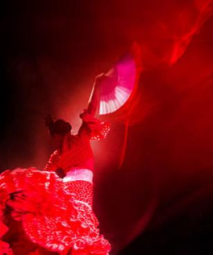 Flamenco moves and dancers' traditional costumes, Spain-2-2