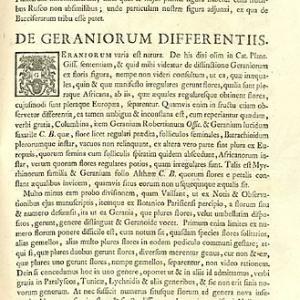 Dillenius' introduction of concept of Pelargonium, in Hortus Elthamensis, 1732 via Wikimedia commons. Dillenius' introduction of concept of Pelargonium, in Hortus Elthamensis, 1732