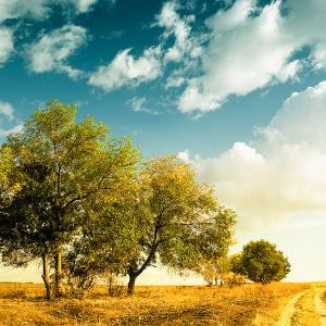 Autumn scenery, D. Skorodjelow via Wikimedia commons. Autumn scenery