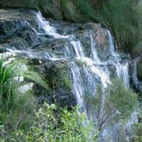 Waterfall in Queensland rain forest via Wikimedia commons. Waterfall in Queensland rainforest.